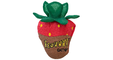 Yeowww! Strawberry Chocolate