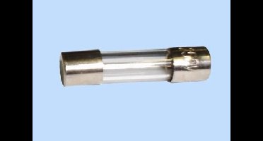 ASA Glaszekering 5x20mm 5A (10 stuks)