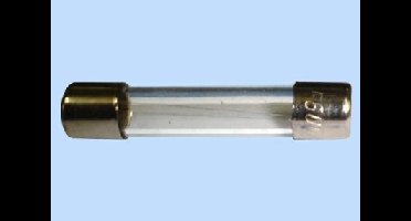ASA Glaszekering 6,3x32 25A (10 stuks)