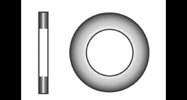Marinetech 90125453 Sluitring 5.3  (20stk) DIN125