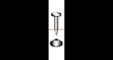 Marinetech Bootsnagels 3,2 x 38 inclusief nietschijf (6 stuks)