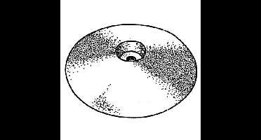 Plastimo 53053 Roer/Zwaard/Trimtab Anode 150mm (paar+bouten)