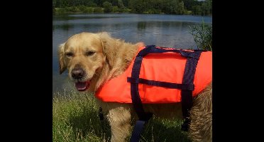 Seilflechter Hondenzwemvest met grijplijn, L (15-40 kg)