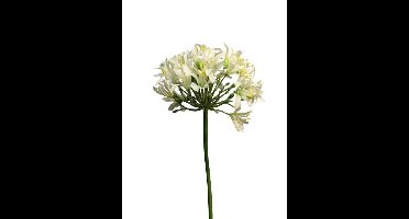 Van Manen Agapanthus Senna kunstbloem