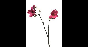Van Manen Magnolia Devin spray kunstbloem