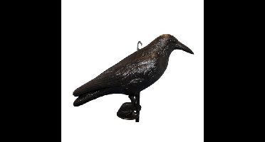 Haba Scare Crow meeuwenverschrikker