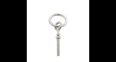 Marinetech Oogbout M8x100 met metrische draad, ring en moer