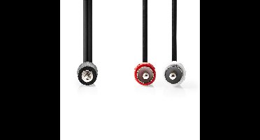 Nedis Stereo 3,5mm en 2xRCA male