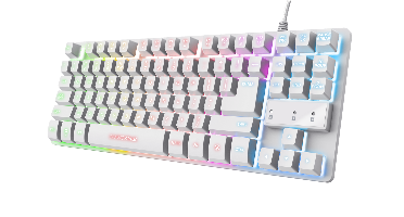 Trust GXT833W Thado Gamingtoetsenboard met meerkleurige LED verlichting
