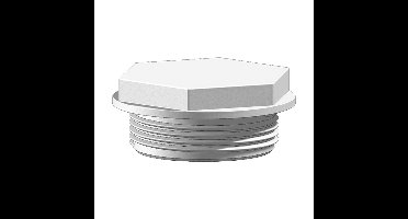 TruDesign Plug 1 1/2 inch BSP wit kunststof