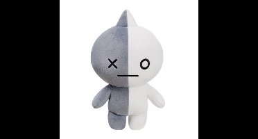 BT21 VAN knuffel 30 cm (LARGE)