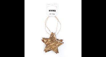 Tag Sterro 8x8.4cm goud 2 stuks