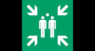 Pictogram djois verzamelplaats 300x300mm gn