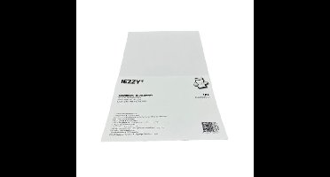 Securitex envelop IEZZY 250x350x38mm 10 stuks