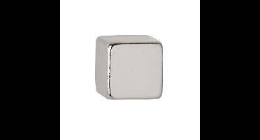 Magneet maul neodymium kubus 10x10x10mm 3.8kg | 10 stuks