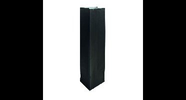 Verpakkingszak iezzy (wijn)flessen 10x8x41cm zwart