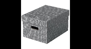 Opbergdoos esselte 265x205x365mm grijs 3 st