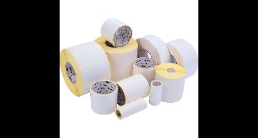 Labeletiket zebra 1000t 800294-305 102x76mm wit