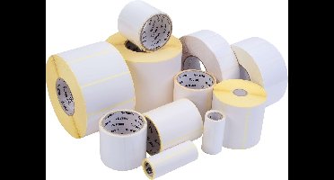 Labeletiket zebra 1000d 880191-101d 102x102mm wit