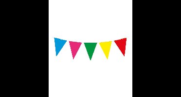 Party flag pe multi colour