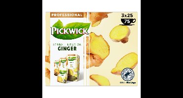 Thee pickwick ginger 25x1.5gr