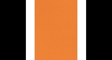 Gekleurd tekenpapier, 120 g, ft 21 x 29,7, A4, oranje, pak van 500 vel