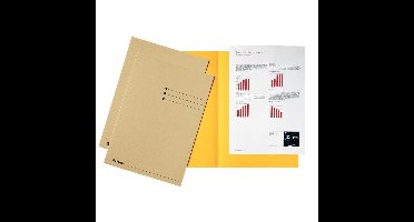 Esselte dossiermap gems, karton van 180 g/m², pak van 100 stuks