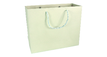 Tas | Papier | embossed | 31x 12x26cm | draagtas | pastelgroen | 40 stuks