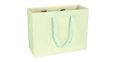 Tas | Papier | embossed | 23x 10x18cm | draagtas | pastelgroen | 40 stuks