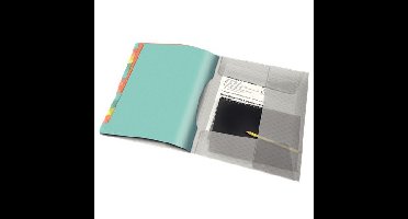 Esselte 626256 sorteermap Meerkleurig Polypropyleen (PP)