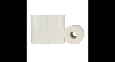 Toiletpapier, 2-laags, 400 vel, pak van 10 x 4 rollen