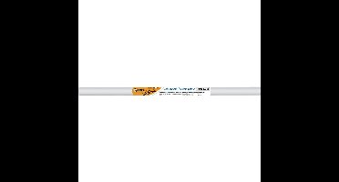 Bic zelfklevende rollen (whiteboard vellen) Velleda ft 67 x 100 cm