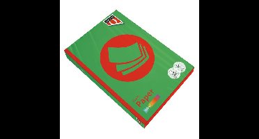 Kopieerpapier quantore colour a4 160gr grasgroen | 5 stuks