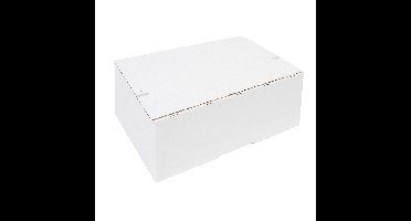 Postpakketbox iezzy 4 305x215x110mm wit | 5 stuks