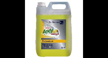 Allesreiniger andy citroen fris 5 liter | 2 stuks