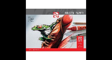 Talens Bristol papier, 250 g, ft 29,7 x 42 cm, A3, blok van 20 vel