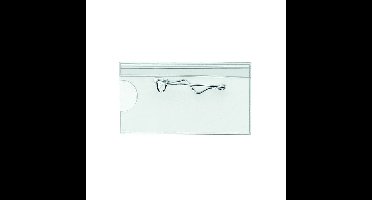 Badge quantore speld 40x60mm | 24 stuks