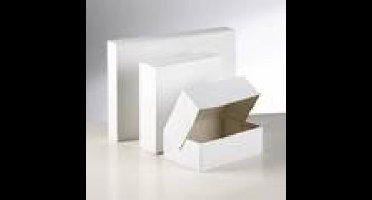 Gebaksdoos blanco/wit 24x16x8cm 300 stuks