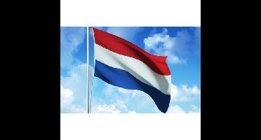Vlag nederland stof 200x300cm