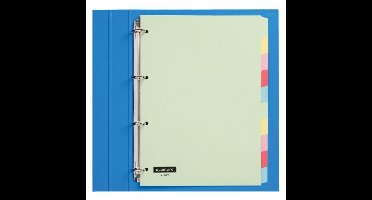 Tabbladen Quantore 4-gaats 10-delig assorti karton