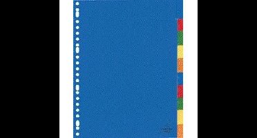 Tabblad kangaro a410fm a4 23r pp 10dlg venster ass | 25 stuks