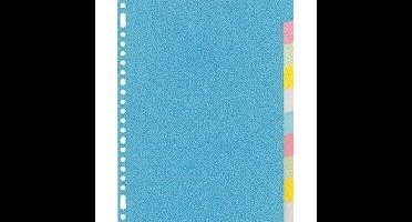 Tabblad kangaro 23r ry410m 10 delig assorti karton | 20 stuks