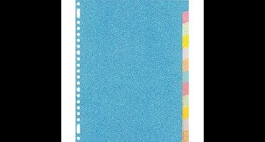 Tabblad kangaro 23r ry412m 12 delig assorti karton