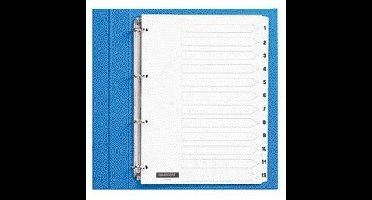 Tabblad quantore 4rings karton 1-12 wt