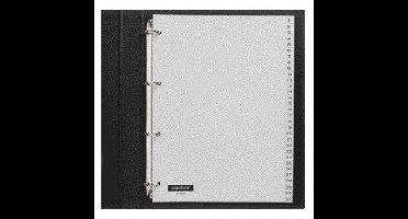 Tabblad quantore 4rings pp 1-31 grijs | 5 stuks