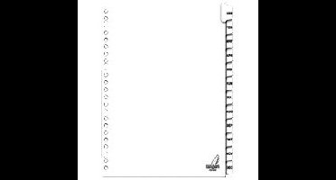 Tabblad kangaro 23r pk412jm 12 delig maand karton | 18 stuks