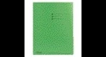 Vouwmap esselte a4 overslag manilla 180gr groen
