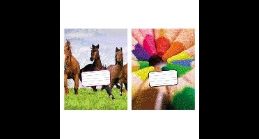 Schrift kangaro 165x210mm schoonschrijven 72pag | 10 stuks