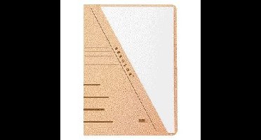 Insteekmap djois sec a4 recy 250gr chamois | 100 stuks