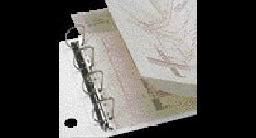 Opbergstrip djois filestrip a4 2/4rings tr 25st | 10 stuks